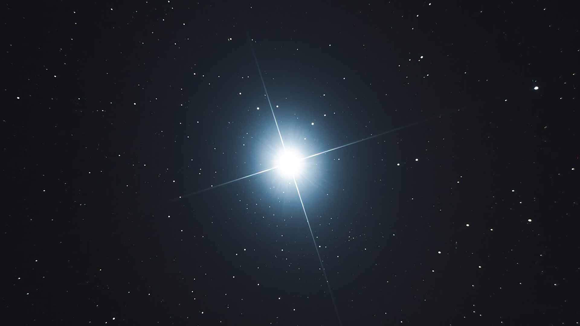 procyon star system