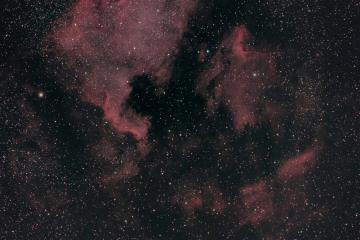 North America and Pelican Nebulae in Cygnus
