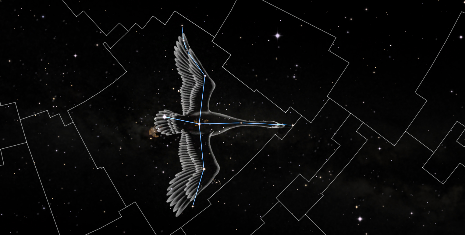 Cygnus Constellation Mythology and History | Stellar Discovery
